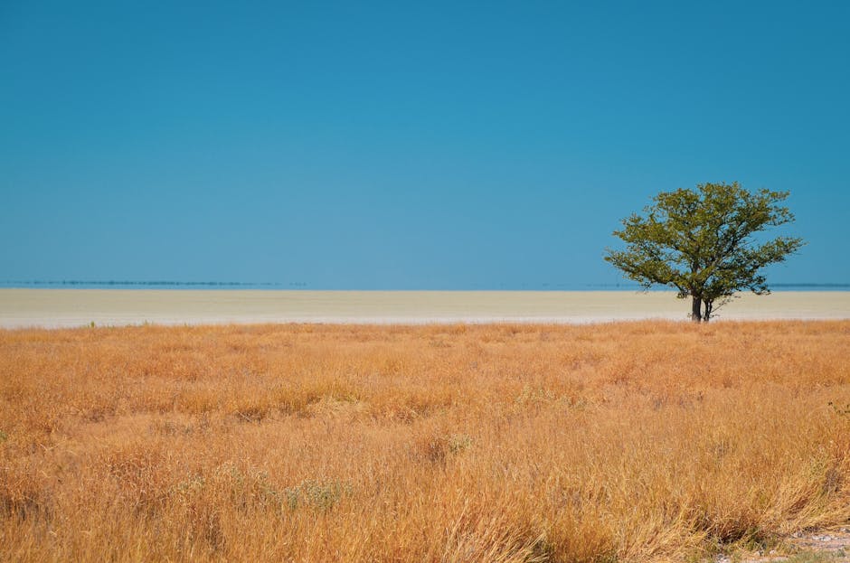 African landscape with horizon
