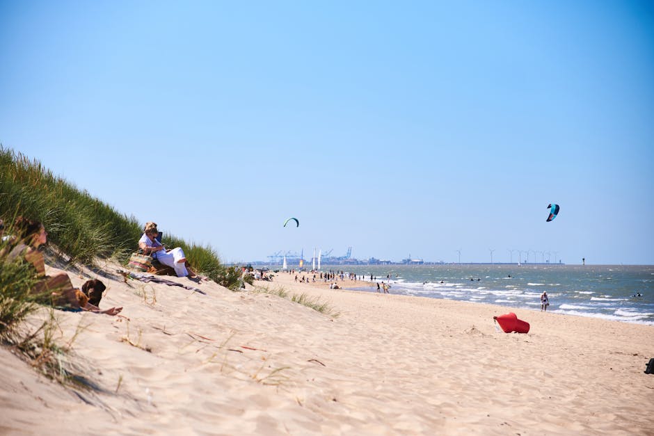 Beach activities and beach day scene